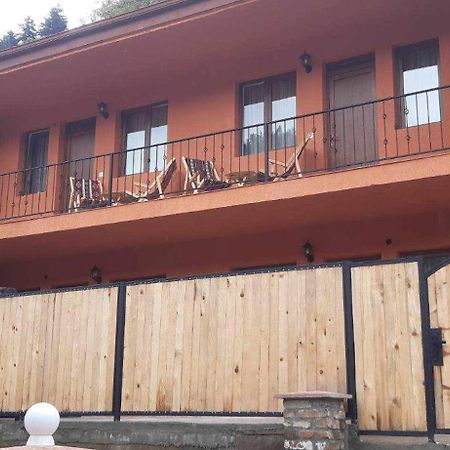 Guest House Borjomula 보르조미 외부 사진