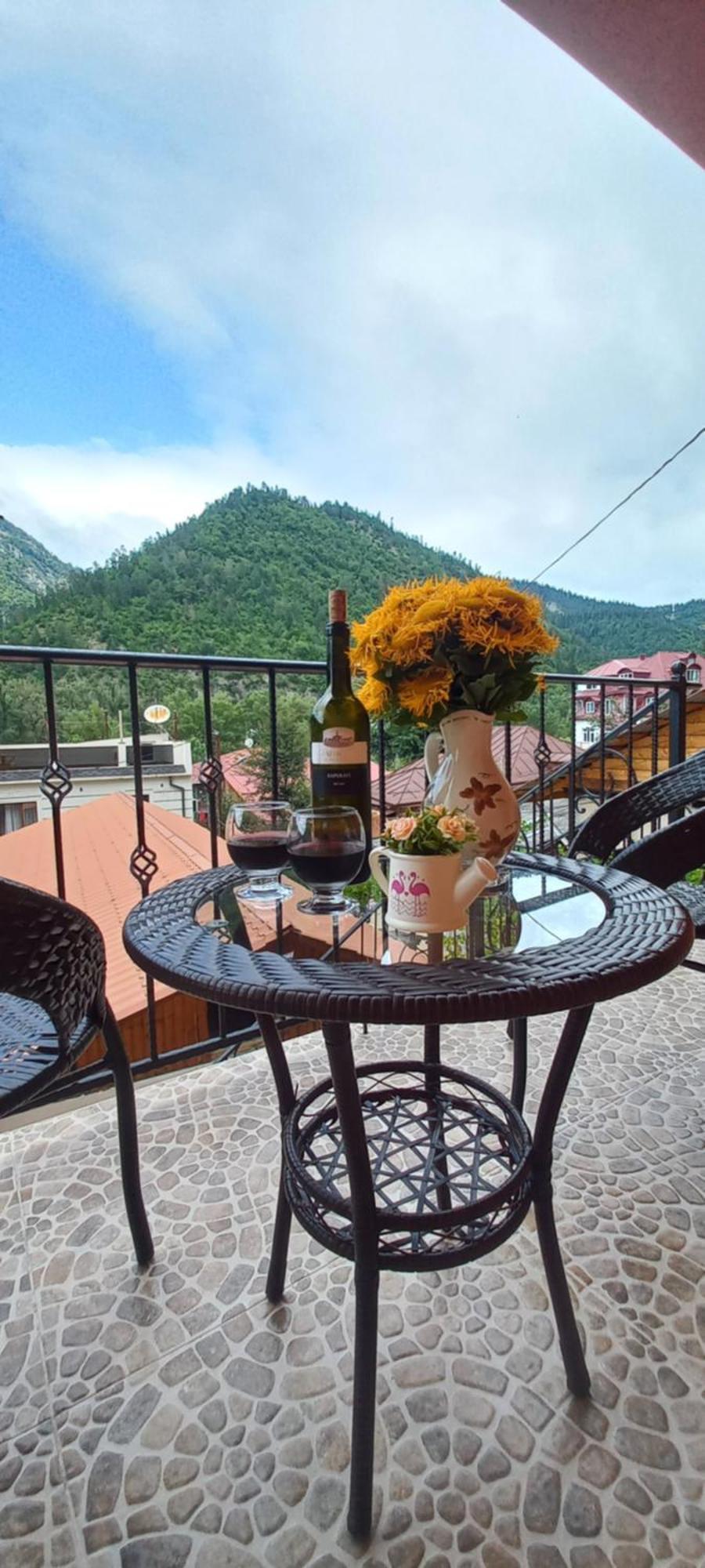 Guest House Borjomula 보르조미 객실 사진